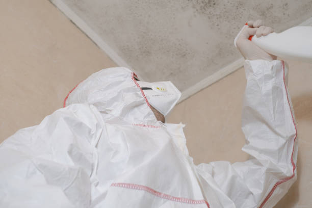 Best Emergency Mold Remediation in , AR